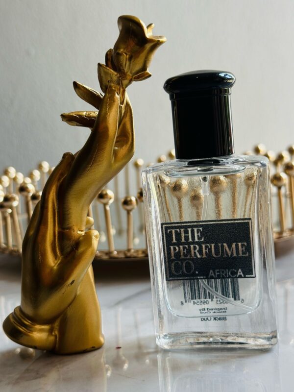 Black Oud - (MEN) by The Perfume CO. 30ml