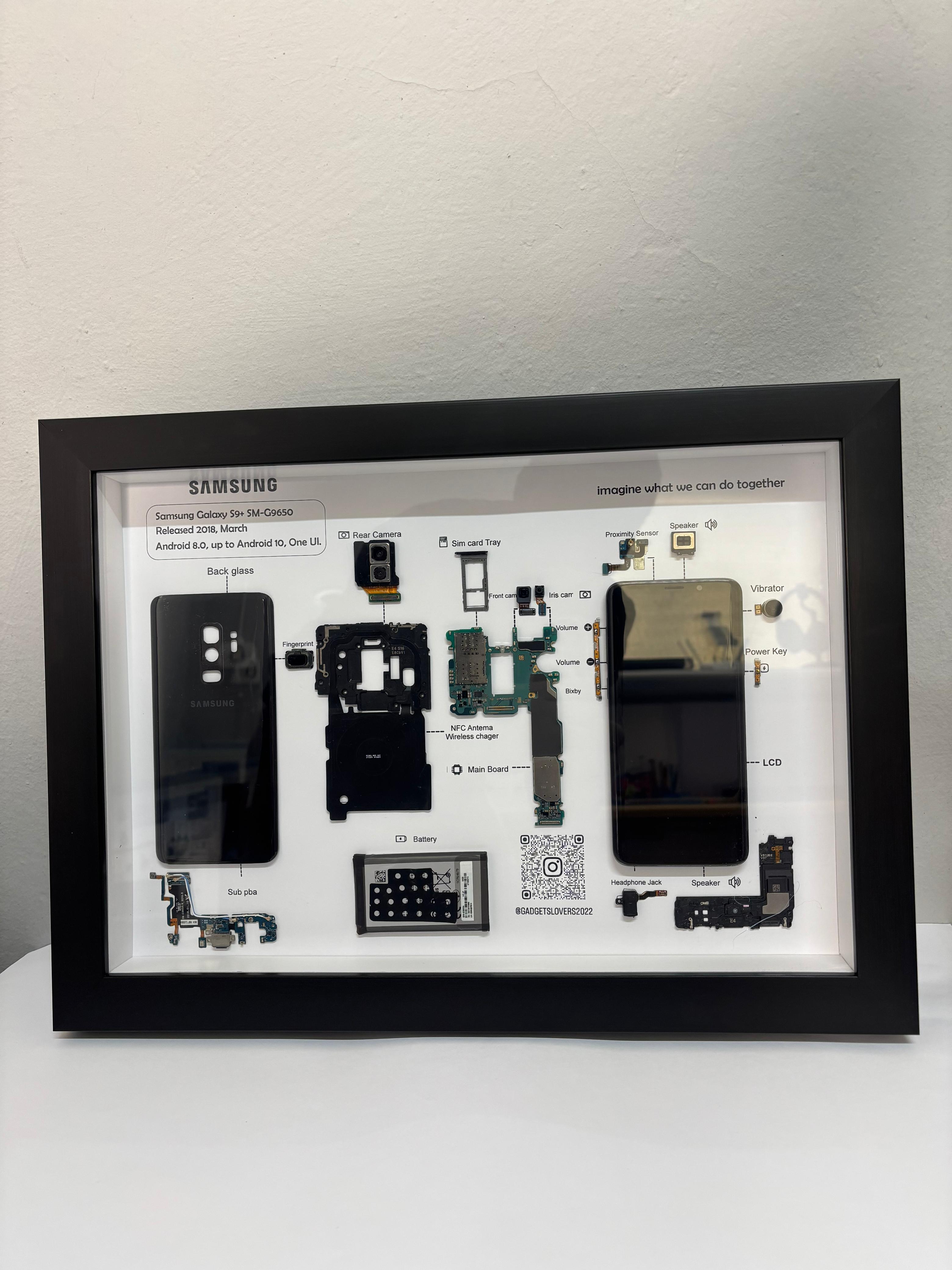 Samsung Galaxy S9+ SM-G9650 Teardown Framed Art